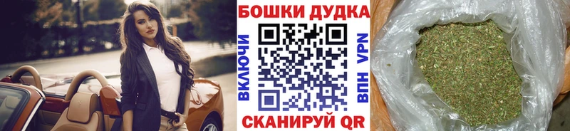 Конопля планчик  Зуевка 